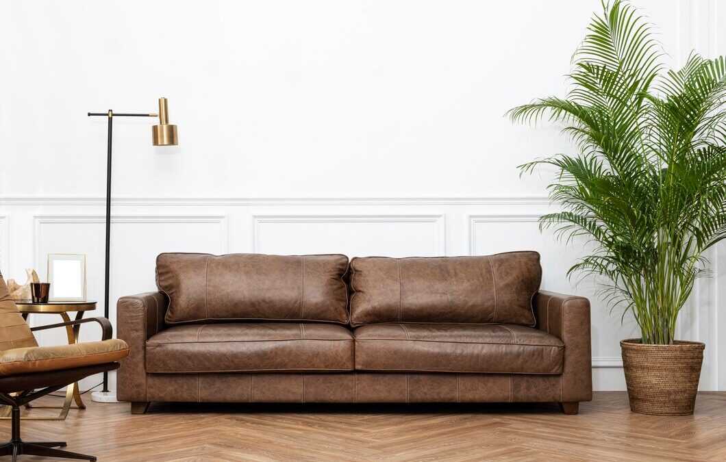 Revitalize Your Furniture with Professional Upholstery Cleaning Services